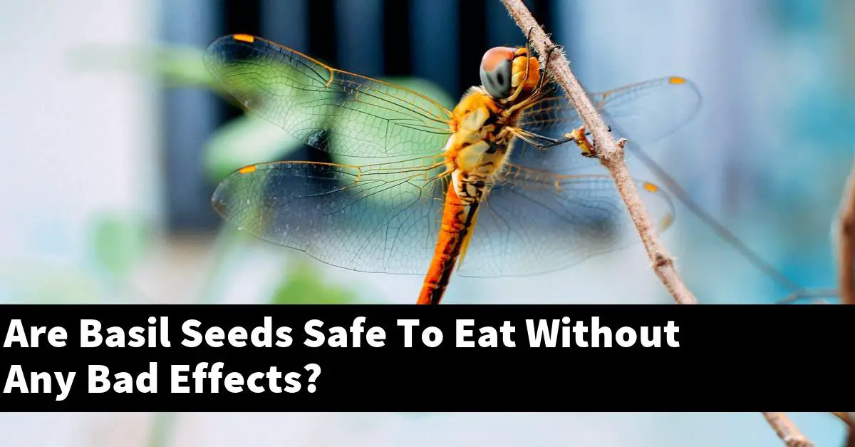 Are Basil Seeds Safe To Eat Without Any Bad Effects?