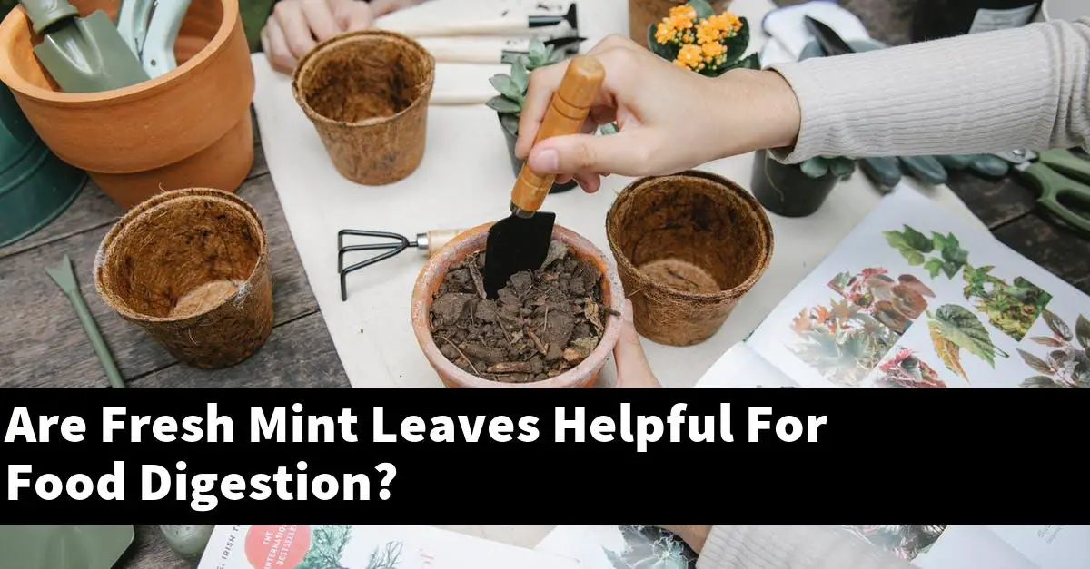 Are Fresh Mint Leaves Helpful For Food Digestion?