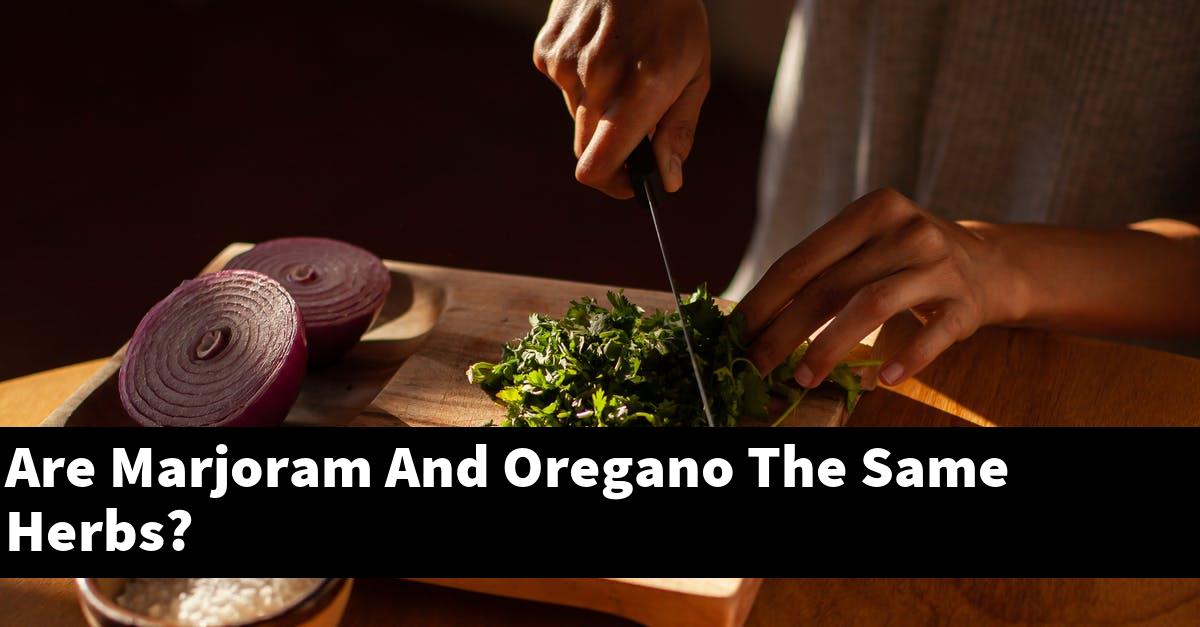 Are Marjoram And Oregano The Same Herbs?