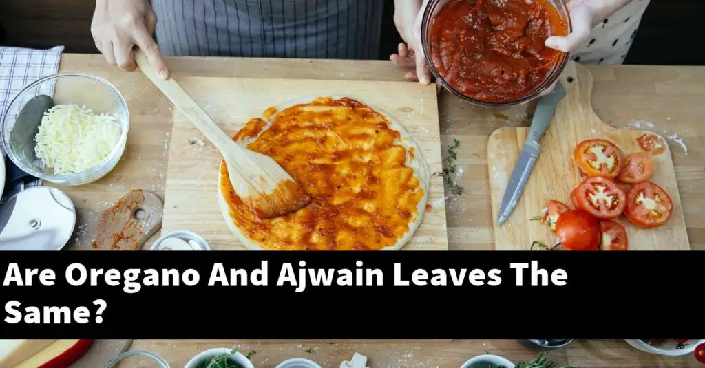 Are Oregano And Ajwain Leaves The Same? Outdoor Herb Garden