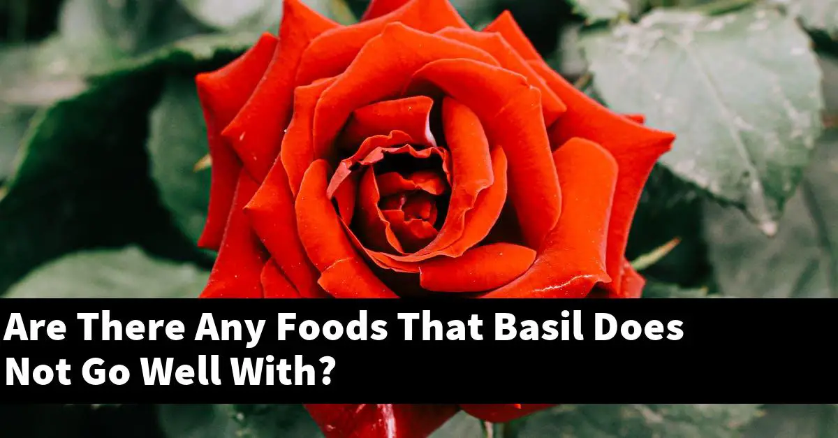 Are There Any Foods That Basil Does Not Go Well With?