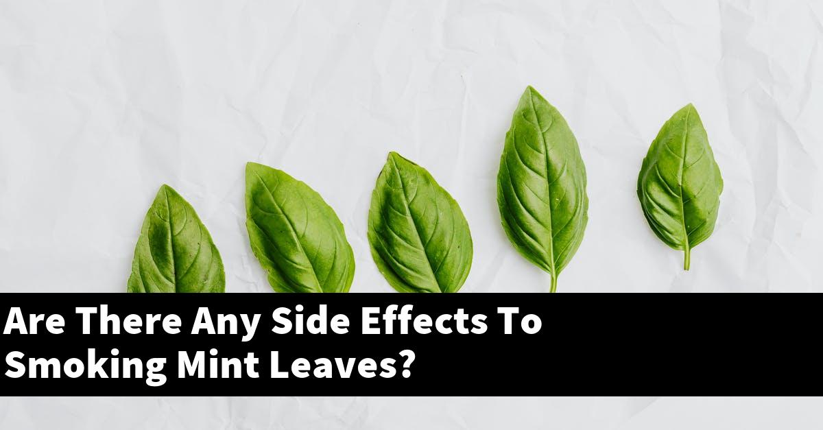 Are There Any Side Effects To Smoking Mint Leaves?