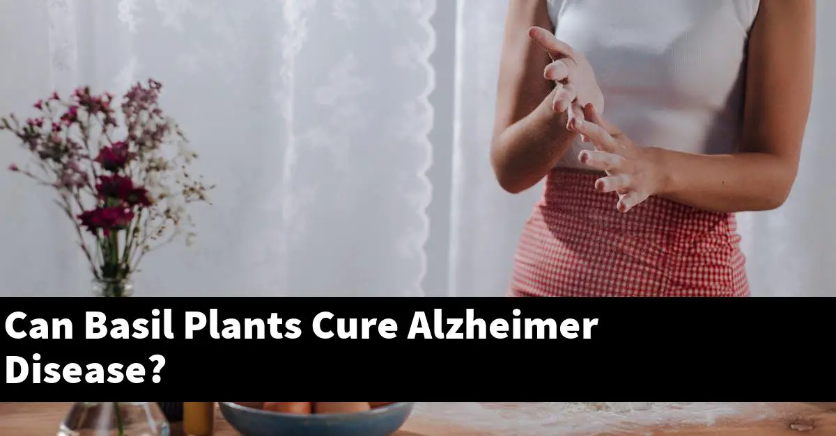 Can Basil Plants Cure Alzheimer Disease?