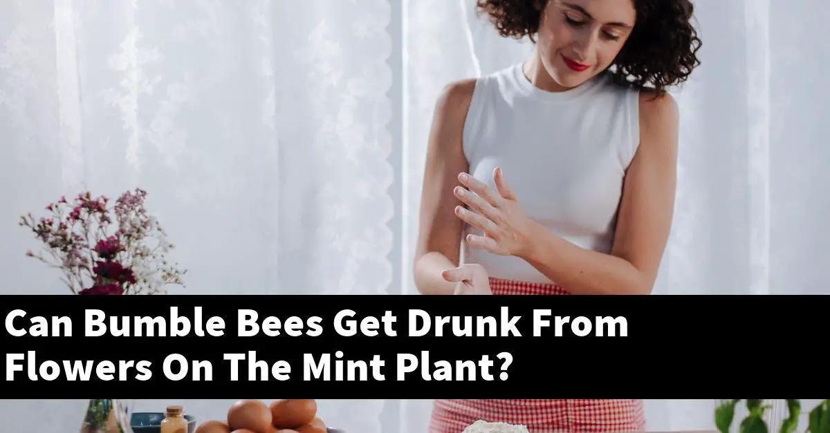 Can Bumble Bees Get Drunk From Flowers On The Mint Plant?