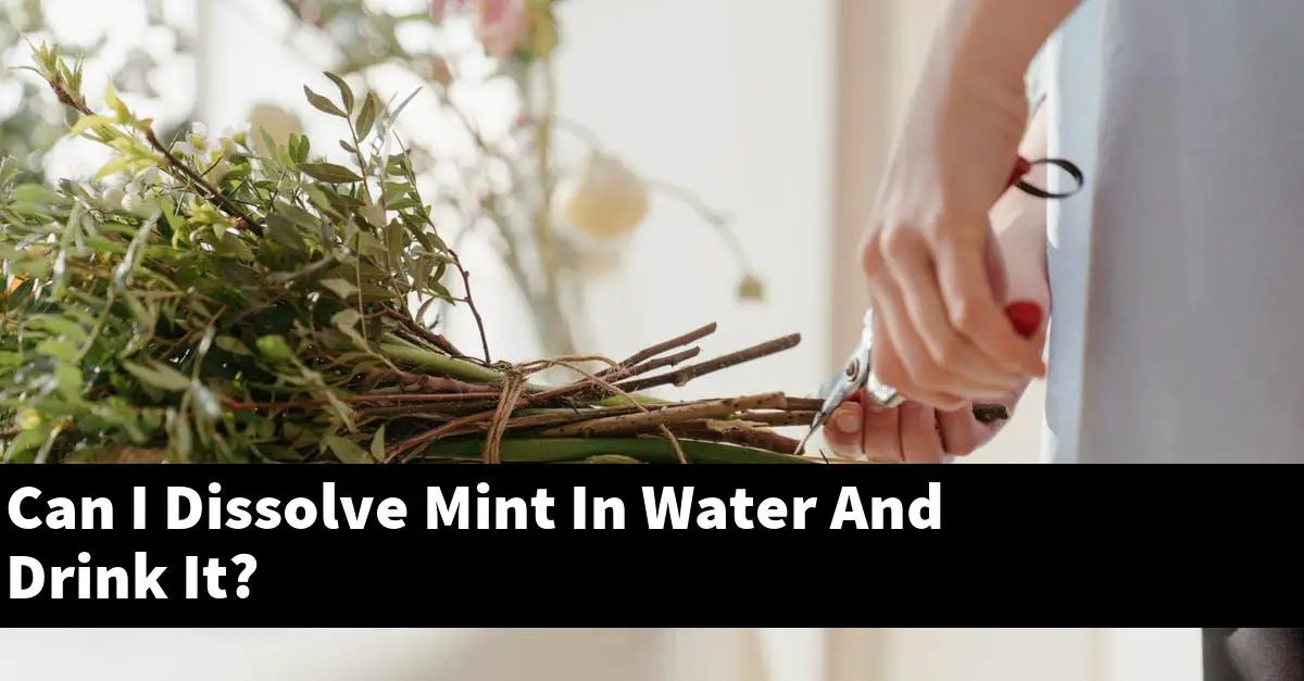 Can I Dissolve Mint In Water And Drink It?