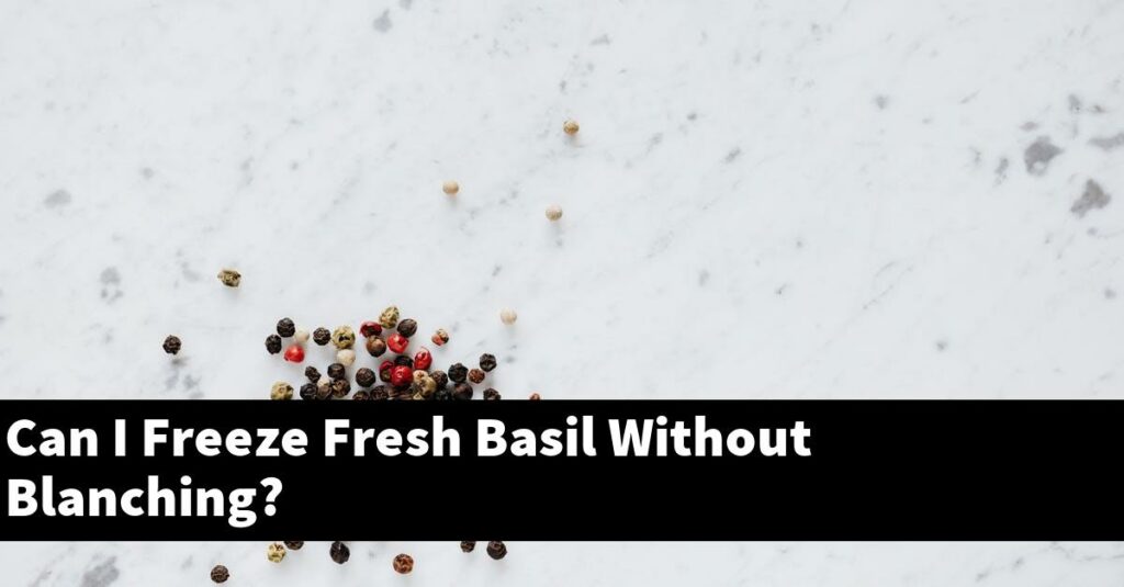 Can I Freeze Fresh Basil Without Blanching? Outdoor Herb Garden