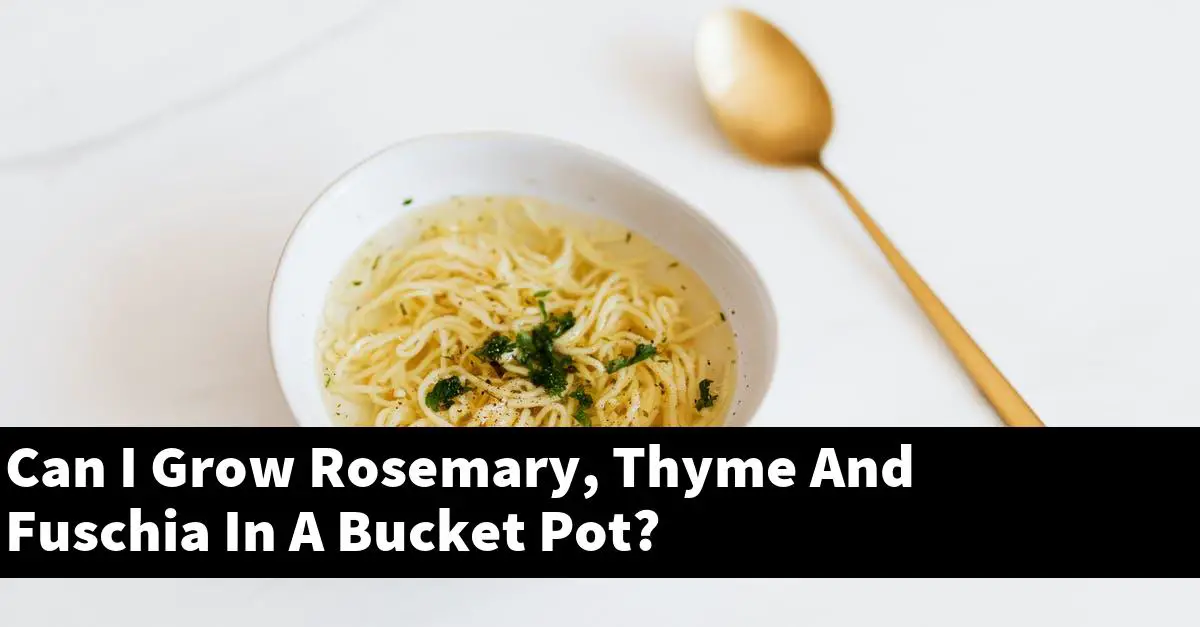 Can I Grow Rosemary, Thyme And Fuschia In A Bucket Pot?