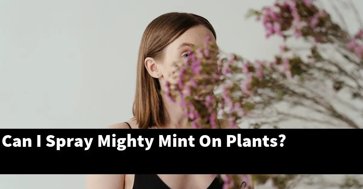 Can I Spray Mighty Mint On Plants?