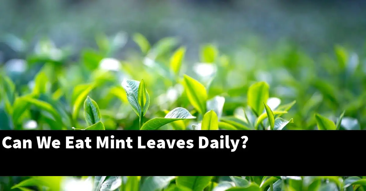 Can We Eat Mint Leaves Daily?