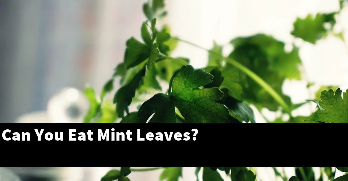 Can You Eat Mint Leaves?