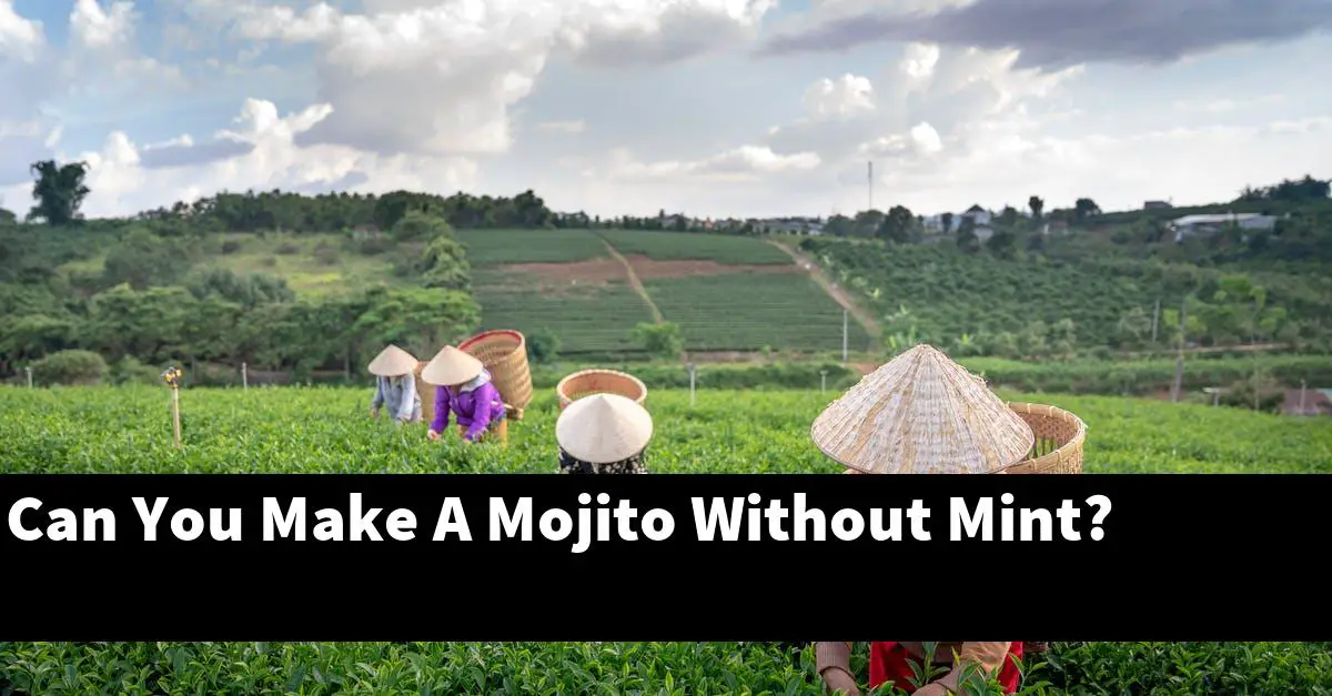 Can You Make A Mojito Without Mint?