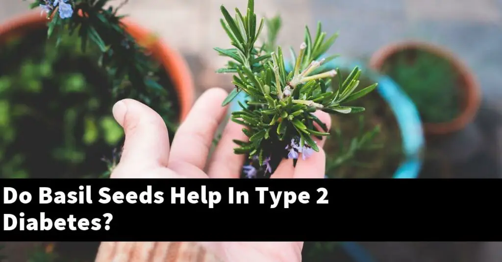 Do Basil Seeds Help In Type 2 Diabetes? Outdoor Herb Garden
