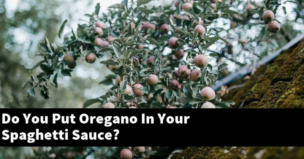 Do You Put Oregano In Your Spaghetti Sauce? Outdoor Herb Garden
