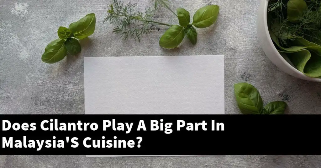 Does Cilantro Play A Big Part In Malaysia'S Cuisine? Outdoor Herb Garden