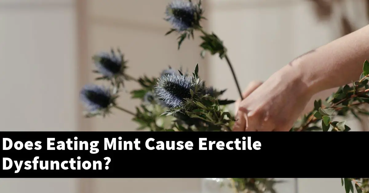 Does Eating Mint Cause Erectile Dysfunction?