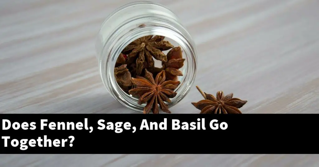 Does Fennel, Sage, And Basil Go Together? Outdoor Herb Garden