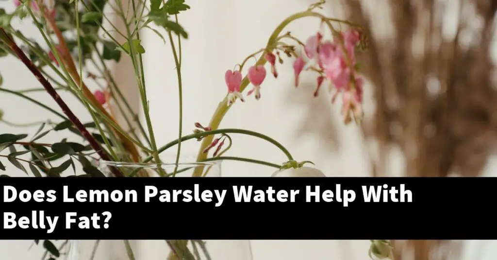 Does Lemon Parsley Water Help With Belly Fat? Outdoor Herb Garden
