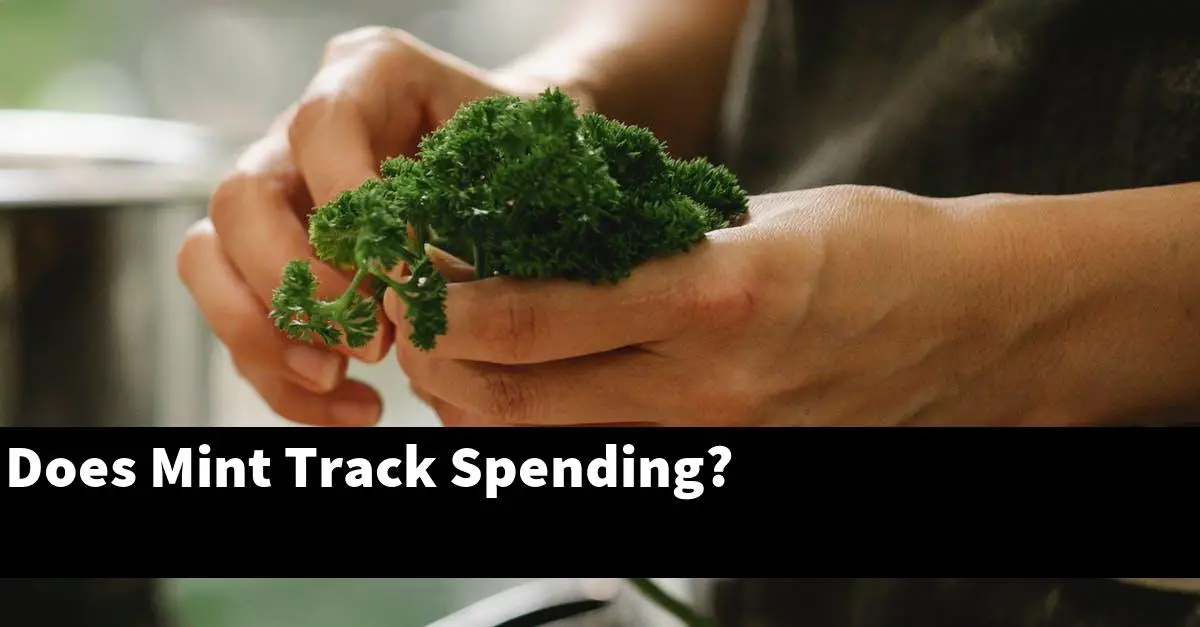 Does Mint Track Spending?