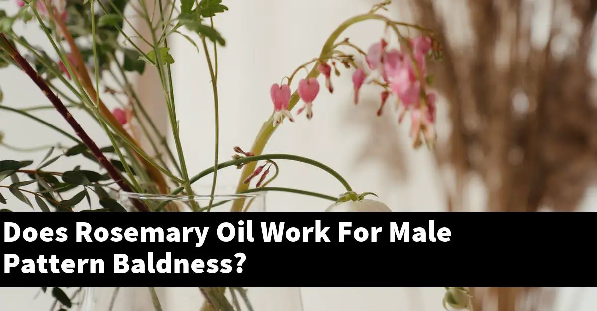 Does Rosemary Oil Work For Male Pattern Baldness?