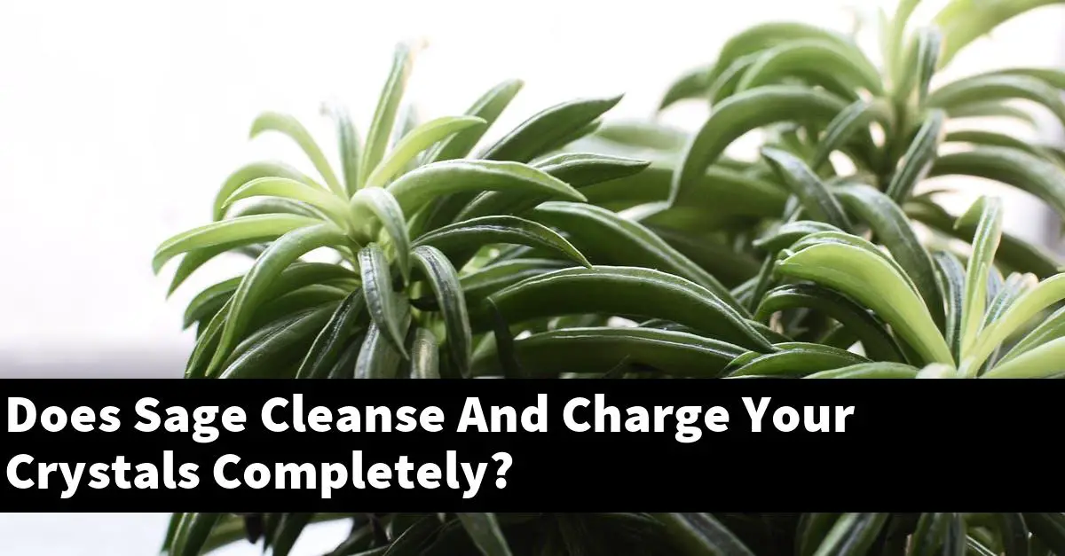 Does Sage Cleanse And Charge Your Crystals Completely?