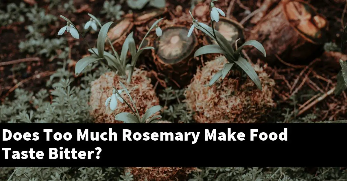 Does Too Much Rosemary Make Food Taste Bitter?