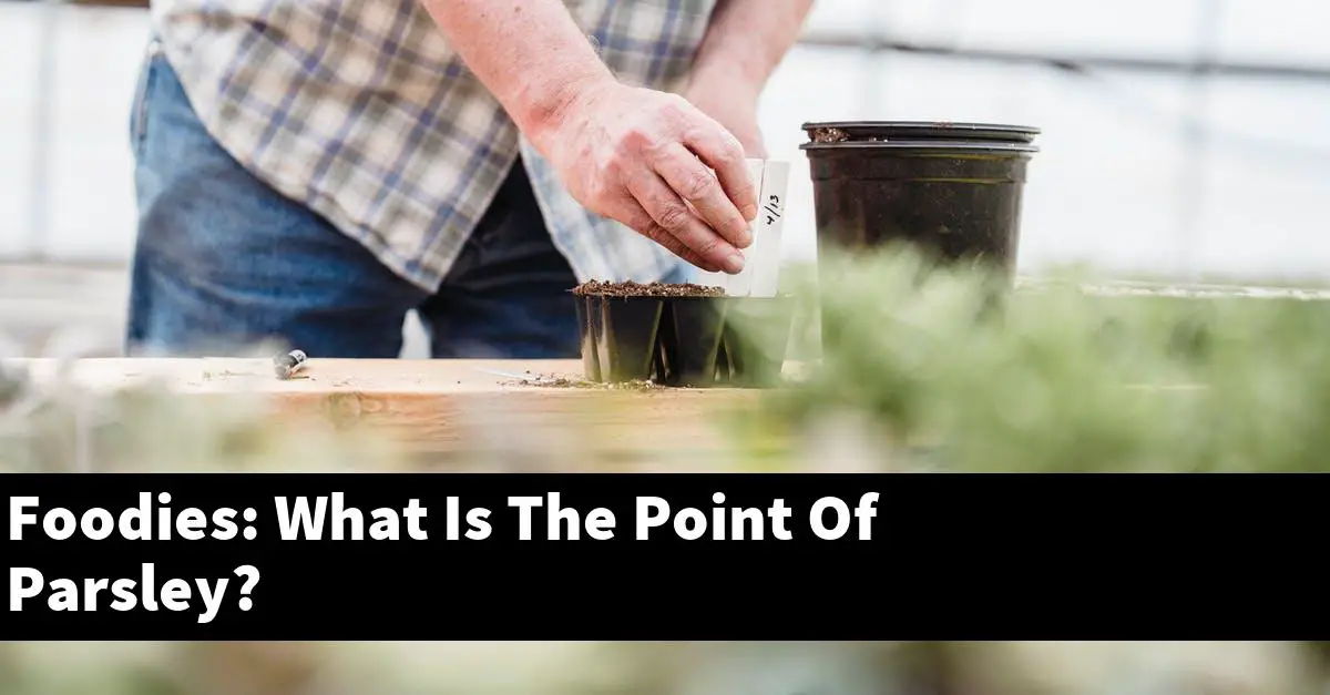 Foodies: What Is The Point Of Parsley?