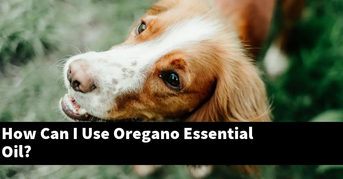 How Can I Use Oregano Essential Oil?
