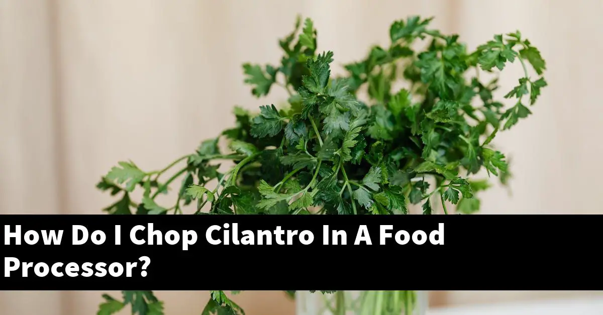 How Do I Chop Cilantro In A Food Processor?