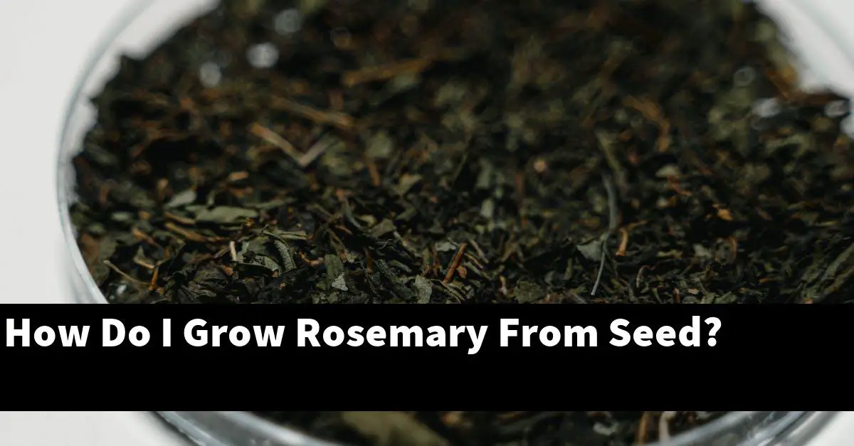 How Do I Grow Rosemary From Seed?