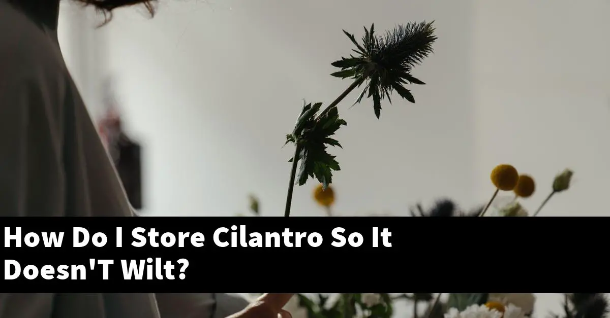 How Do I Store Cilantro So It Doesn'T Wilt?