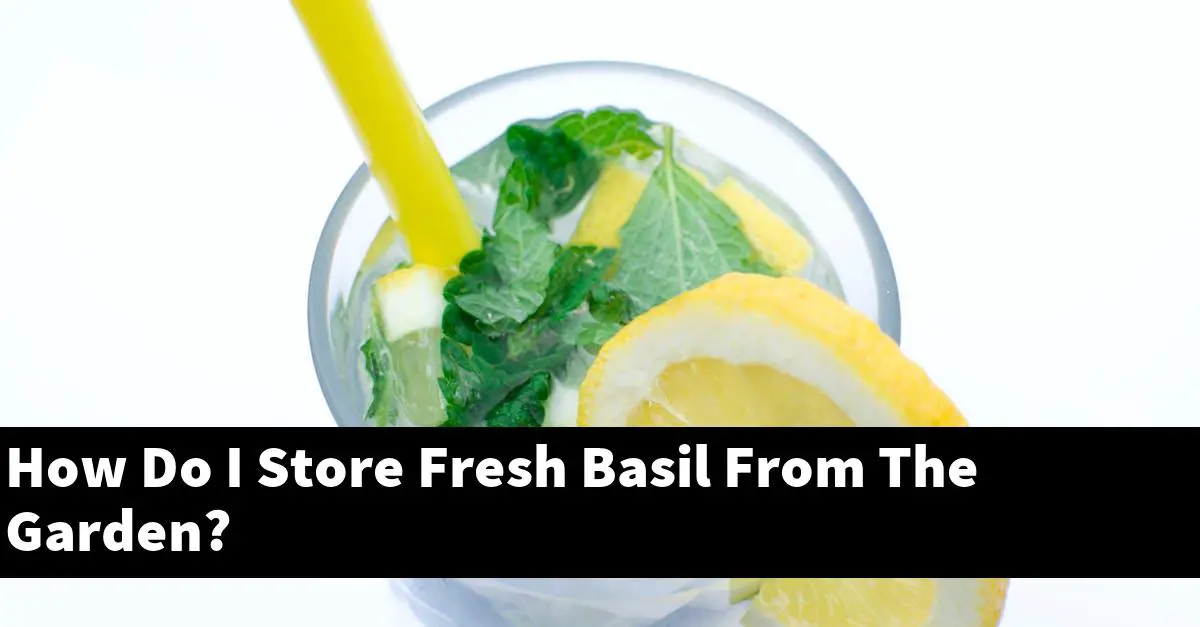 How Do I Store Fresh Basil From The Garden?