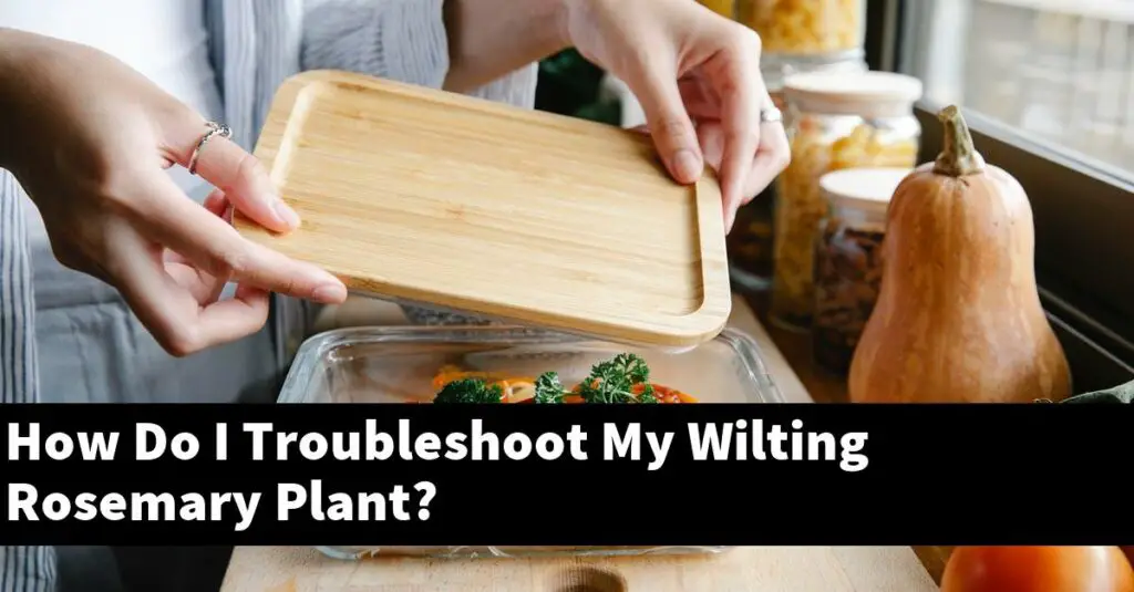 How Do I Troubleshoot My Wilting Rosemary Plant? Outdoor Herb Garden