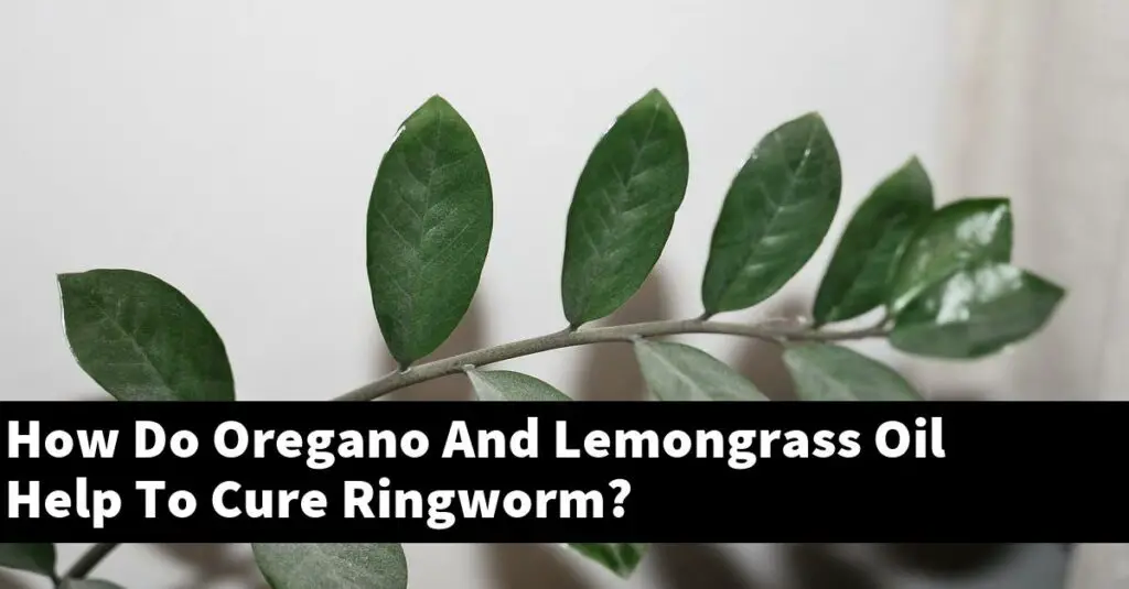 How Do Oregano And Lemongrass Oil Help To Cure Ringworm? Outdoor Herb Garden