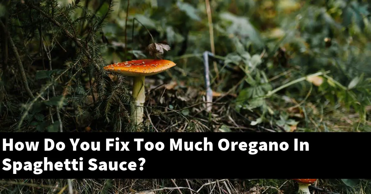 How Do You Fix Too Much Oregano In Spaghetti Sauce?