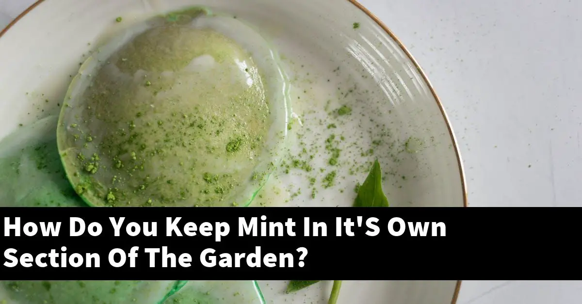 How Do You Keep Mint In It'S Own Section Of The Garden?