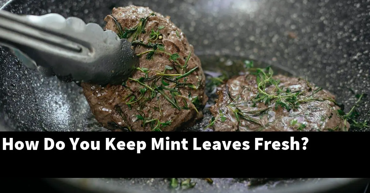 How Do You Keep Mint Leaves Fresh?