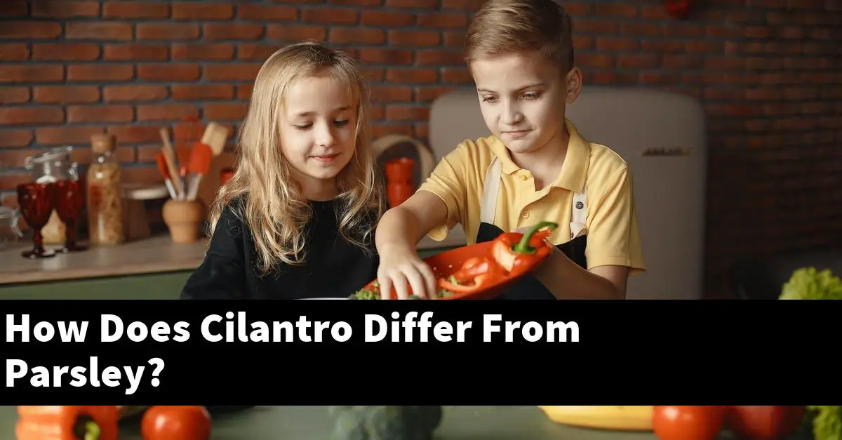 How Does Cilantro Differ From Parsley?