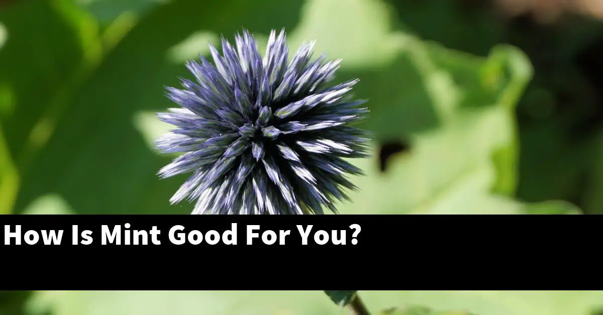 How Is Mint Good For You?