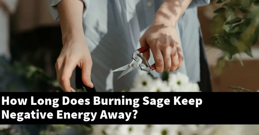 how-long-does-burning-sage-keep-negative-energy-away-outdoor-herb-garden