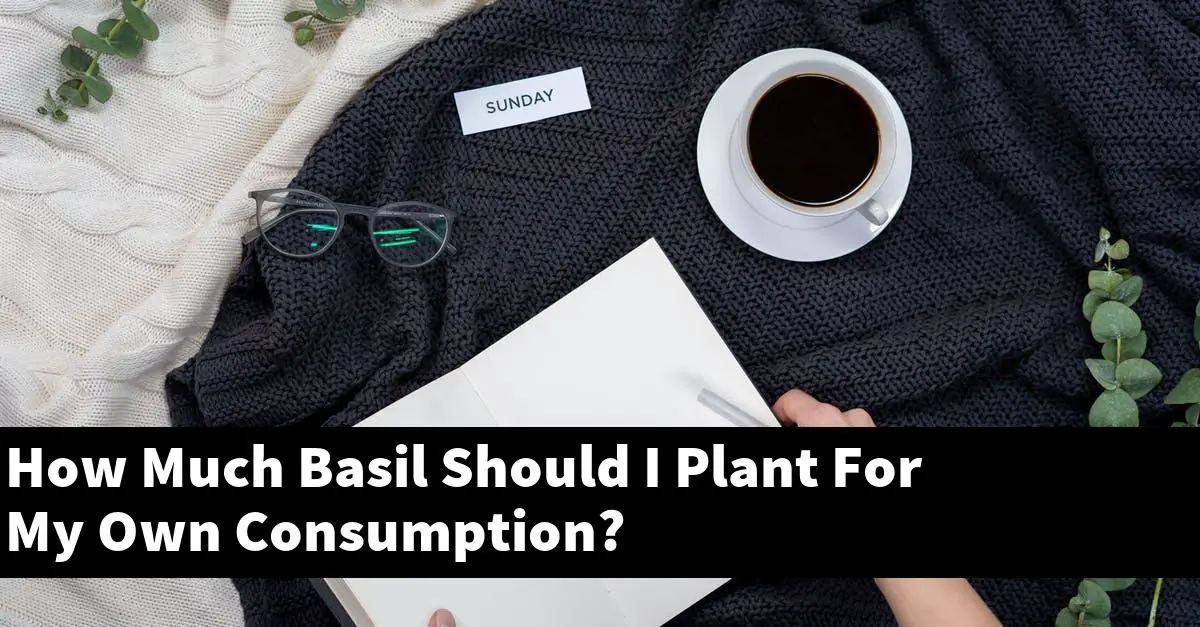 How Much Basil Should I Plant For My Own Consumption?