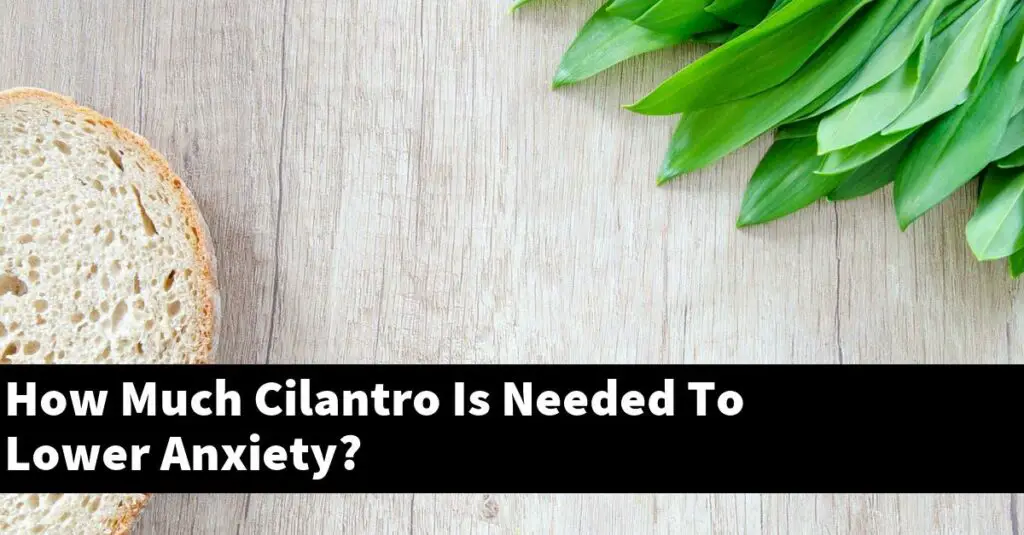 How Much Cilantro Is Needed To Lower Anxiety? Outdoor Herb Garden