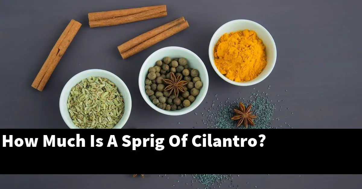 How Much Is A Sprig Of Cilantro?