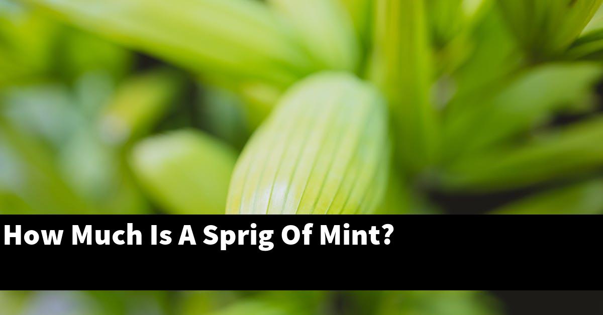 How Much Is A Sprig Of Mint?