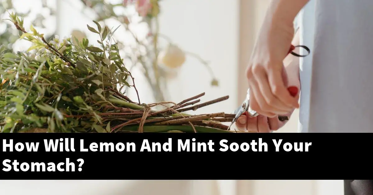 How Will Lemon And Mint Sooth Your Stomach?