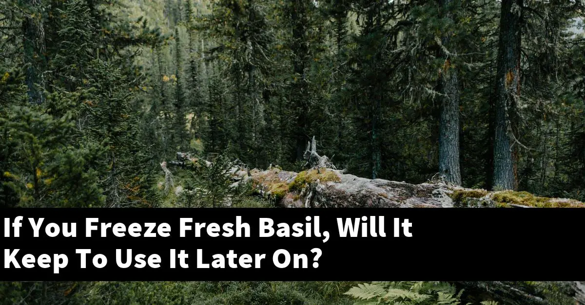 If You Freeze Fresh Basil, Will It Keep To Use It Later On?