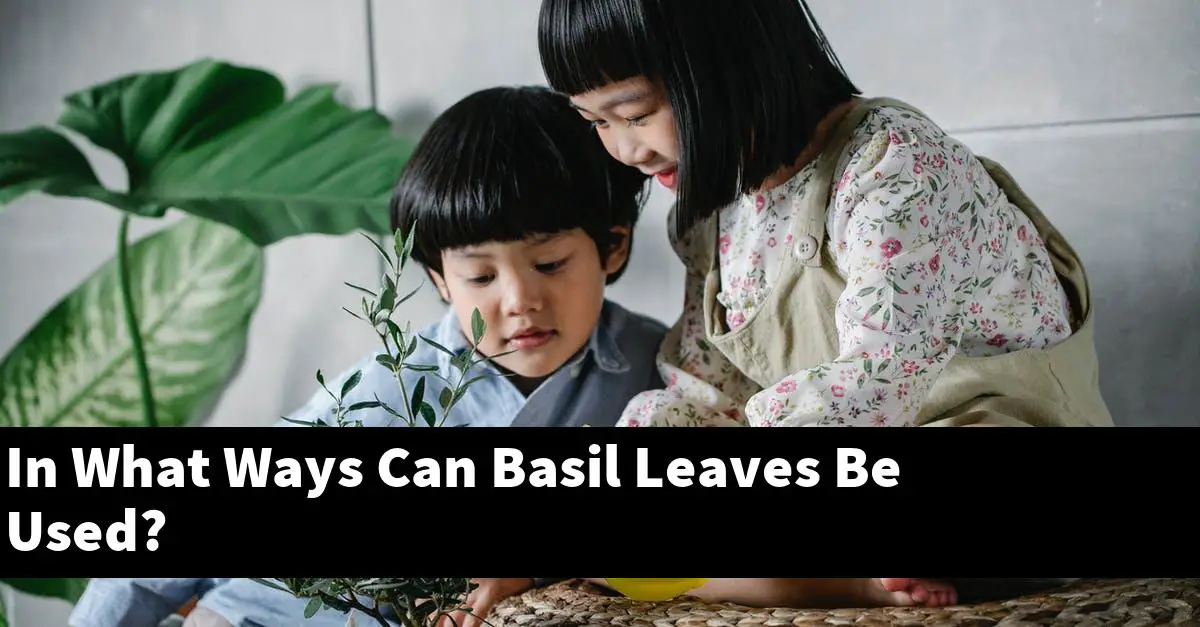 In What Ways Can Basil Leaves Be Used?