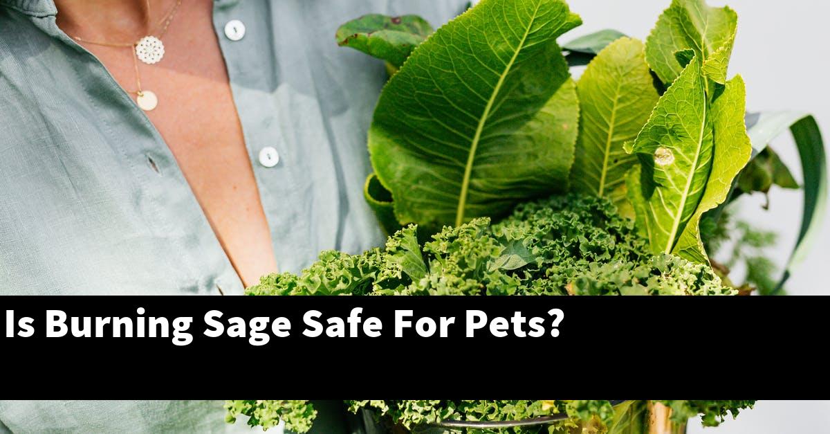 Is Burning Sage Safe For Pets?