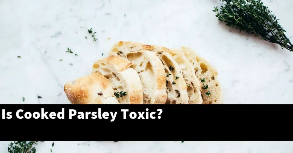 Is Cooked Parsley Toxic? Outdoor Herb Garden