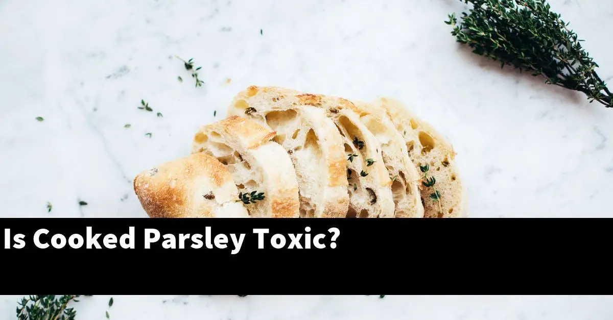 Is Cooked Parsley Toxic?