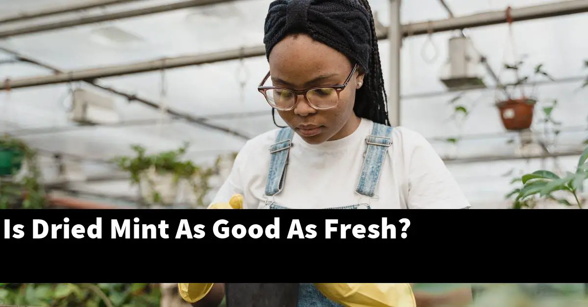 Is Dried Mint As Good As Fresh?
